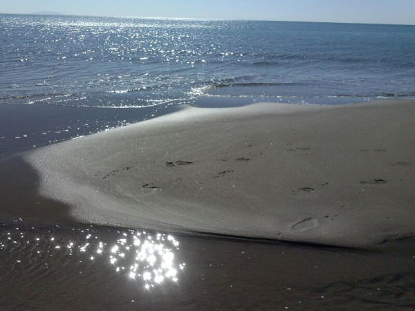 mattino sul mare